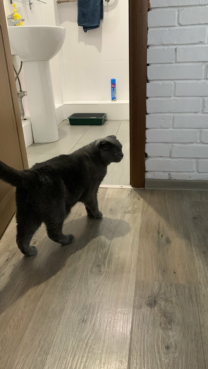 Гостевой дом Августин Абрау-Дюрсо-60