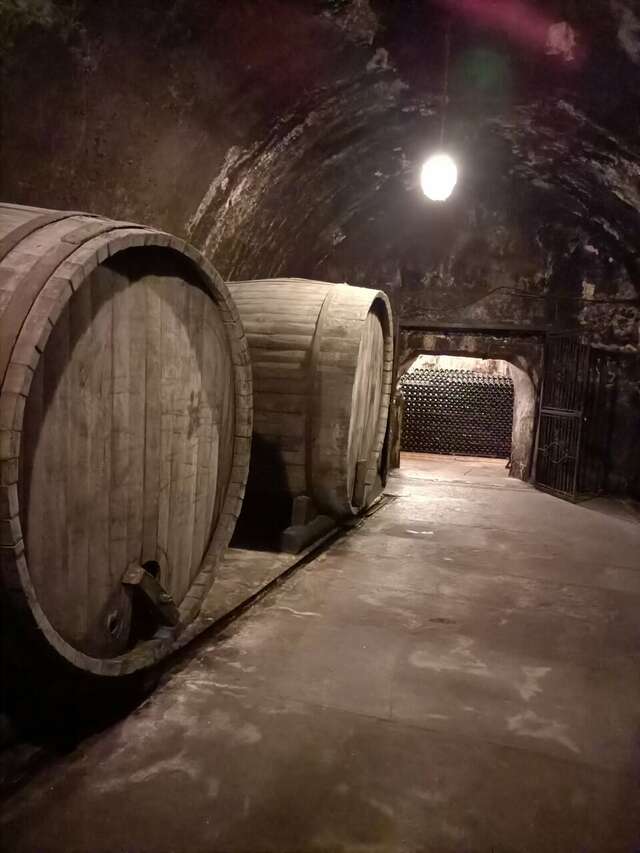 Гостевой дом Августин Абрау-Дюрсо-13